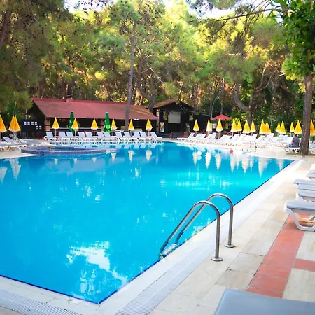 Pirate's Park קמר